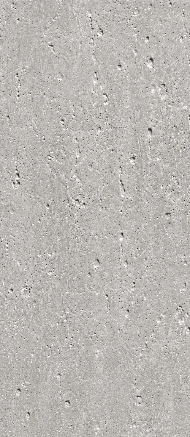SPC-Wandpaneel Betonoptik – Soft Beton 203
